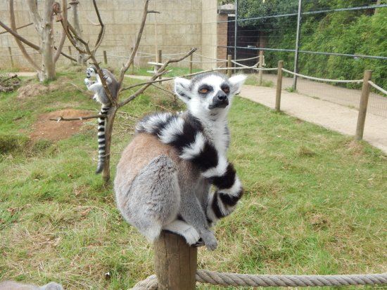 Amazon World Zoo Park